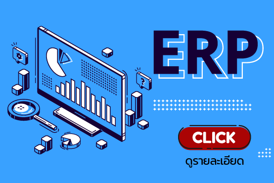 ระบบบัญชี 3 มิติ (ERP)