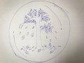 20180502INFO01-059