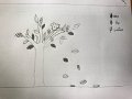 20180502INFO01-060